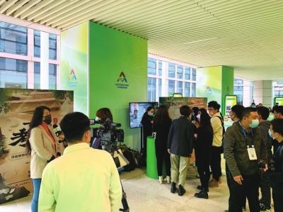 用数字力量播下文化种子 河南博物院数字文创再掀全民考古热潮